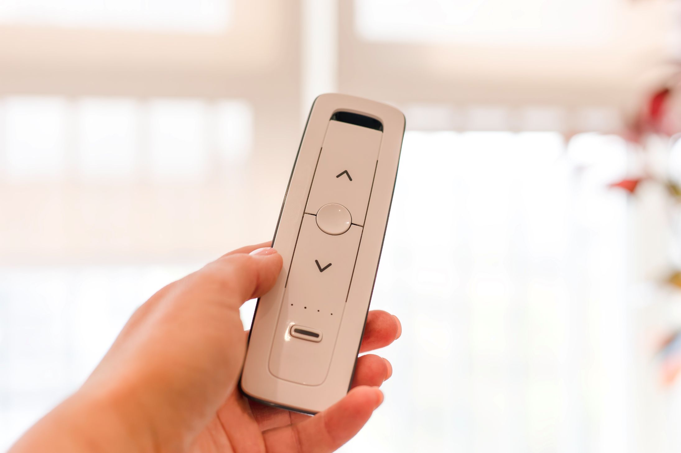 motorised blinds